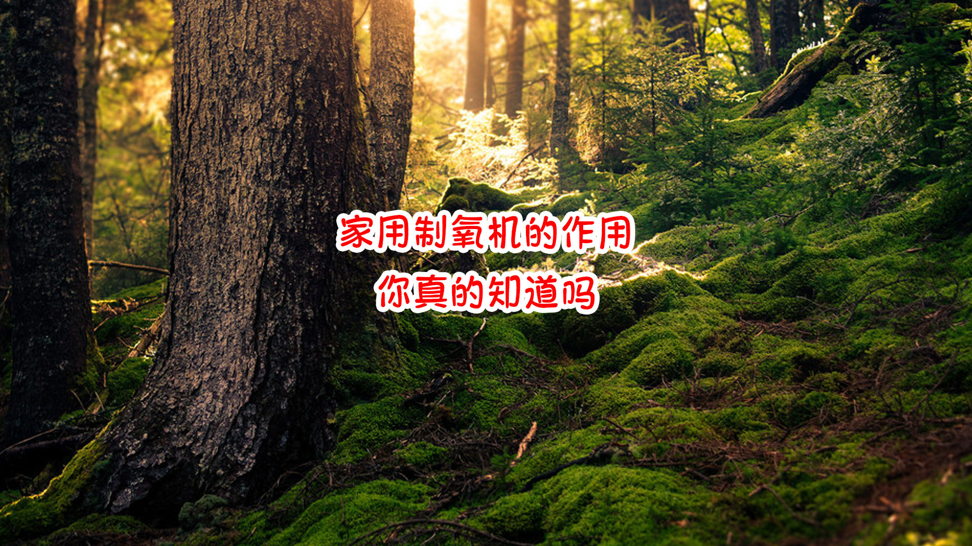 家用制氧機的做用你真的知道嗎.jpg